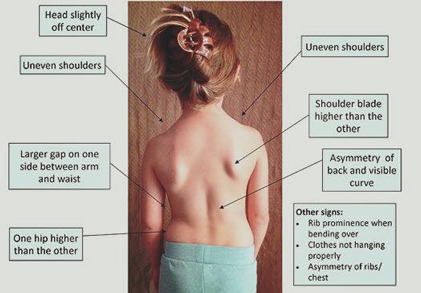 Chiropractic For Children